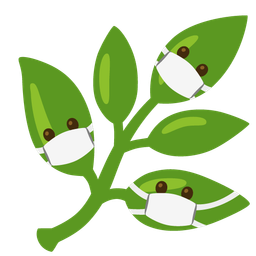 face with medical mask and herb