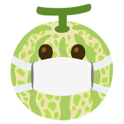 face with medical mask and melon