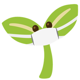 face with medical mask and seedling