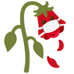 face with medical mask and wilted flower