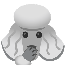 face with open eyes and hand over mouth and poodle