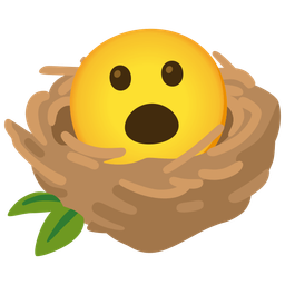 Face with open mouth and Empty nest