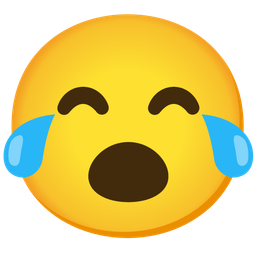 Face with open mouth and Face with tears of joy