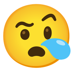 face with raised eyebrow and sleepy face