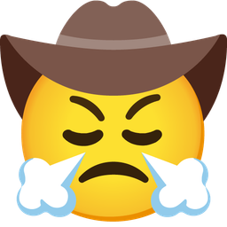 face with steam from nose and cowboy hat face