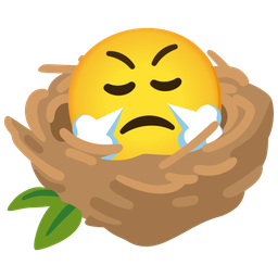 Face with steam from nose and Empty nest