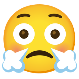 face with steam from nose and flushed face