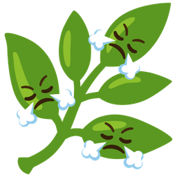 Face with steam from nose and Herb