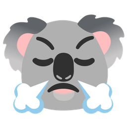 face with steam from nose and koala