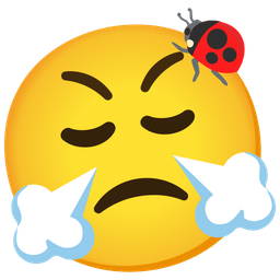 face with steam from nose and lady beetle