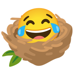 face with tears of joy and empty nest