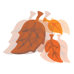 fallen leaf and beating heart