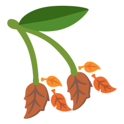 fallen leaf and cherries