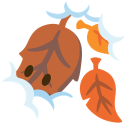 fallen leaf and face in clouds