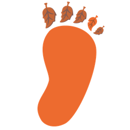 fallen leaf and footprints