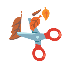 fallen leaf and scissors