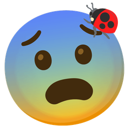 Fearful face and Lady beetle