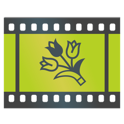 Film frames and Bouquet