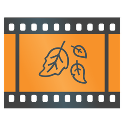 Film frames and Fallen leaf