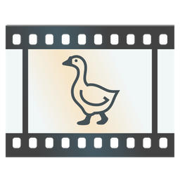 Film frames and Goose