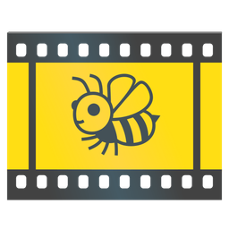 Film frames and Honeybee