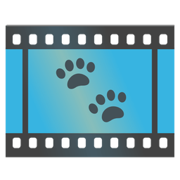Film frames and Paw prints