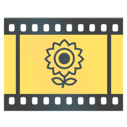 Film frames and Sunflower