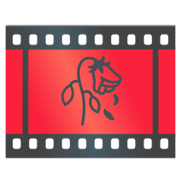 Film frames and Wilted flower