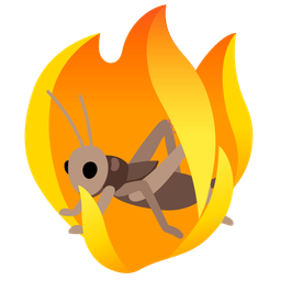 fire and cricket