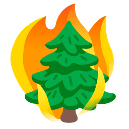 fire and evergreen tree