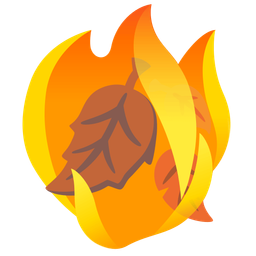 fire and fallen leaf