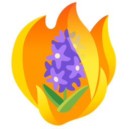 fire and hyacinth
