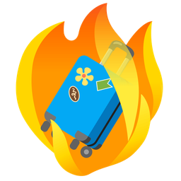 fire and luggage