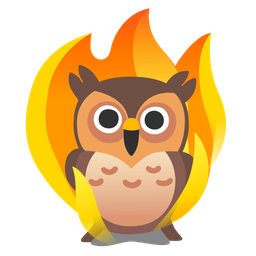 fire and owl