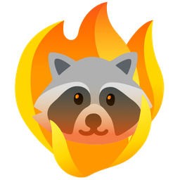 fire and raccoon