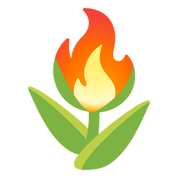 fire and tulip
