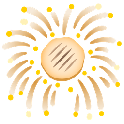 fireworks and flatbread