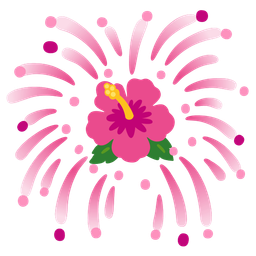fireworks and hibiscus