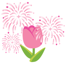 fireworks and tulip