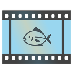 fish and film frames