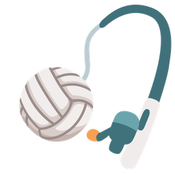 fishing pole and volleyball
