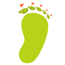 flag in hole and footprints