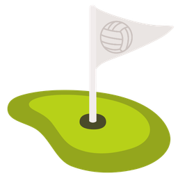 flag in hole and volleyball
