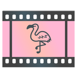 flamingo and film frames