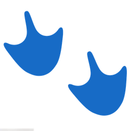 flamingo and footprints