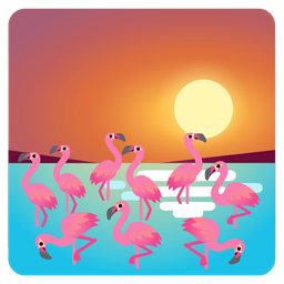 flamingo and sunset