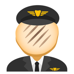 flatbread and airplane