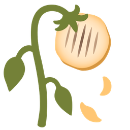 flatbread and wilted flower