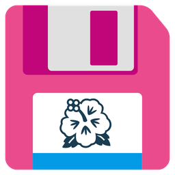 Floppy disk and Hibiscus