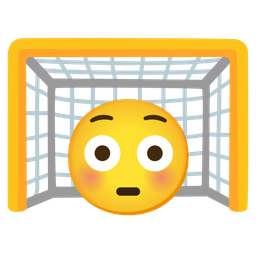 Flushed face and Goal net